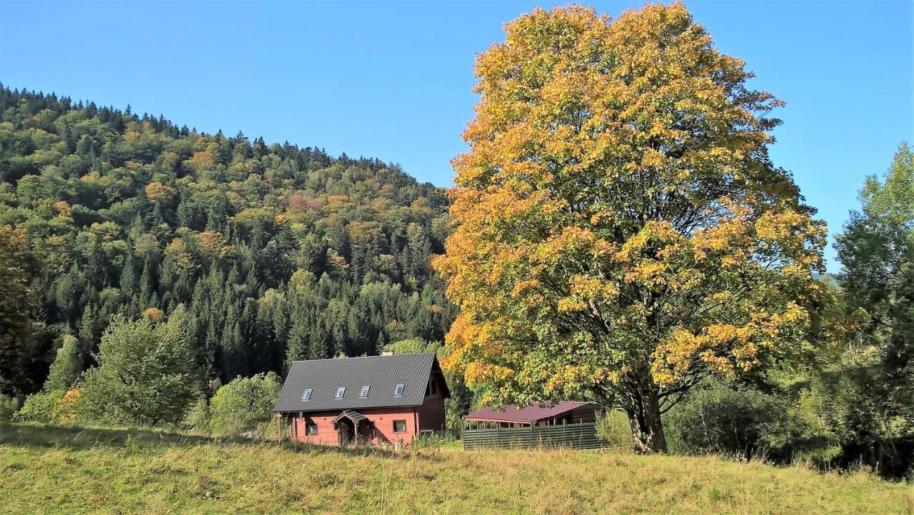 Królikówka Stronie Slaskie Exterior foto
