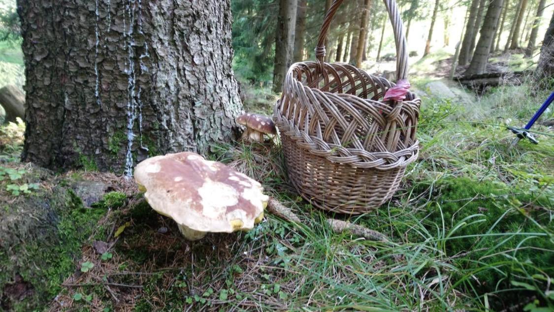 Królikówka Stronie Slaskie Exterior foto