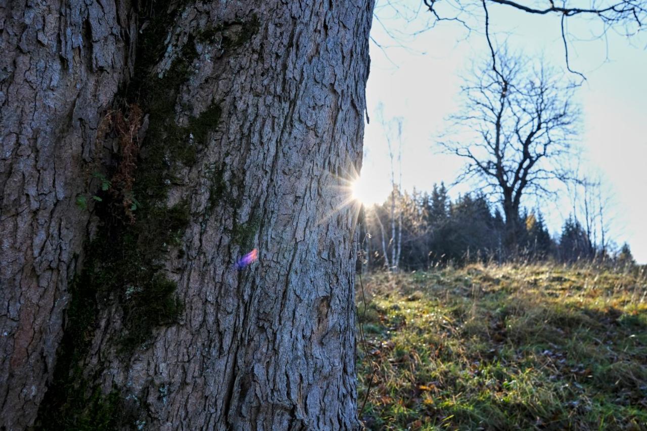 Królikówka Stronie Slaskie Exterior foto