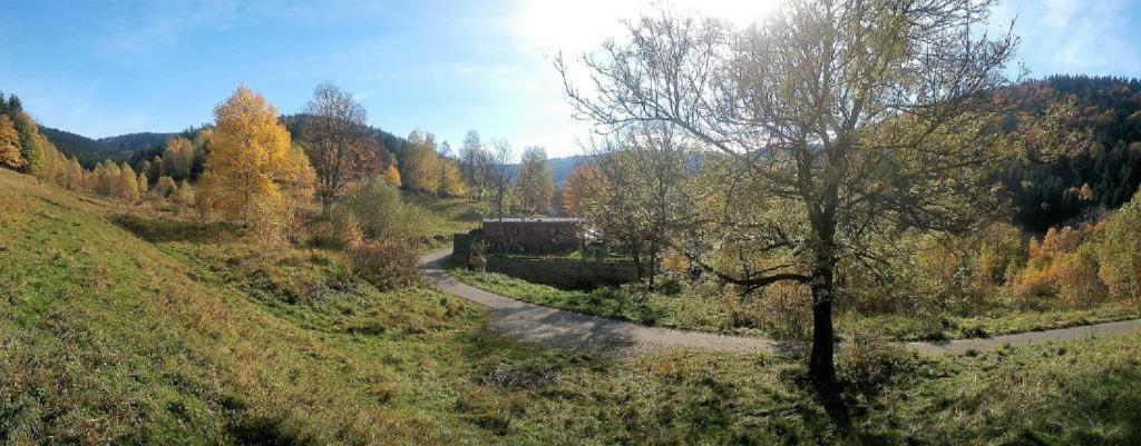 Królikówka Stronie Slaskie Quarto foto